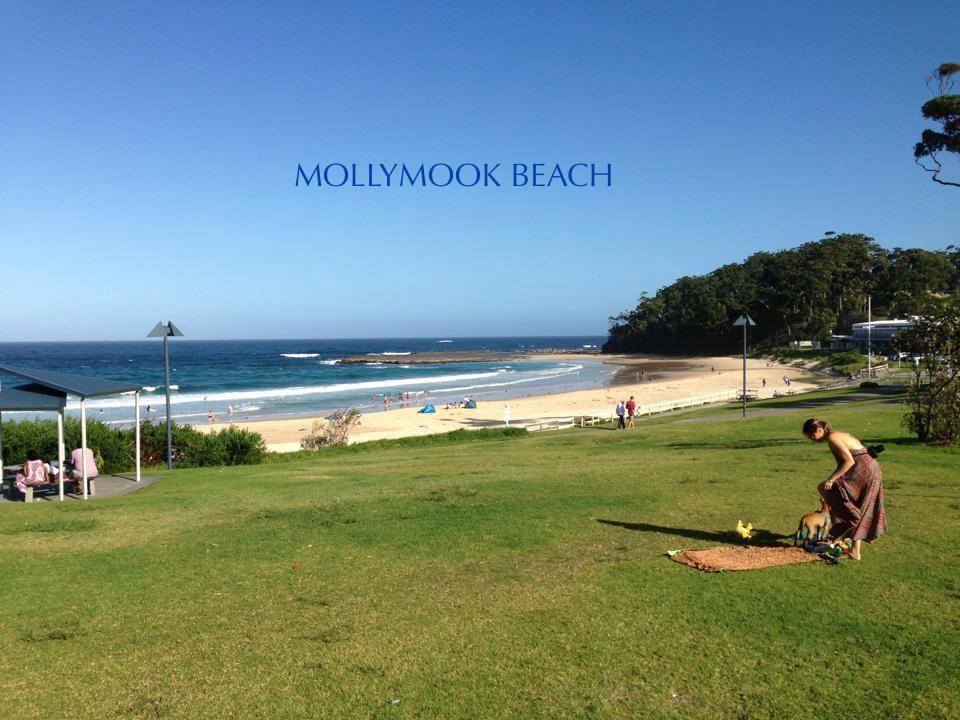 Beach House Mollymook Motel Esterno foto